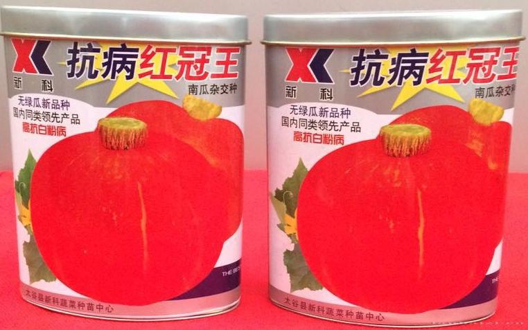 供应抗病红冠王—南瓜种子