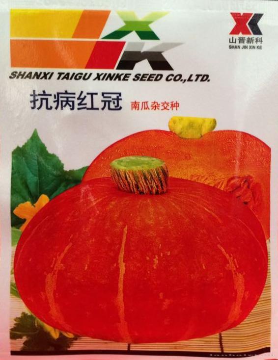 供应抗病红冠—南瓜种子
