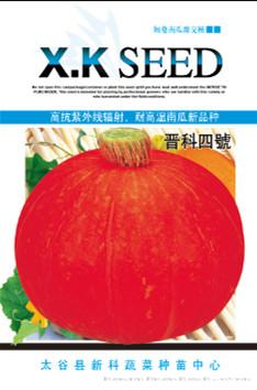 供应晋科四号—南瓜种子