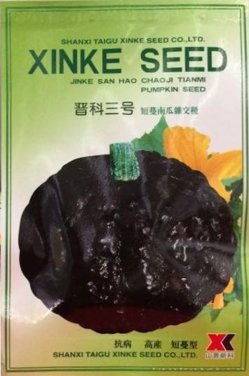 供应晋科三号—南瓜种子