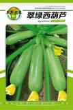 翠绿西葫芦——西葫芦种子