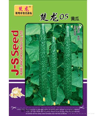 楚龙05黄瓜