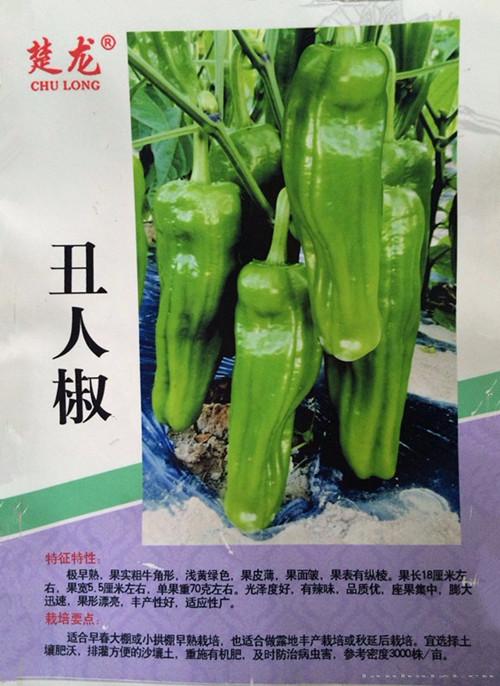 丑人椒