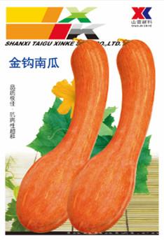 供应金钩南瓜—南瓜种子
