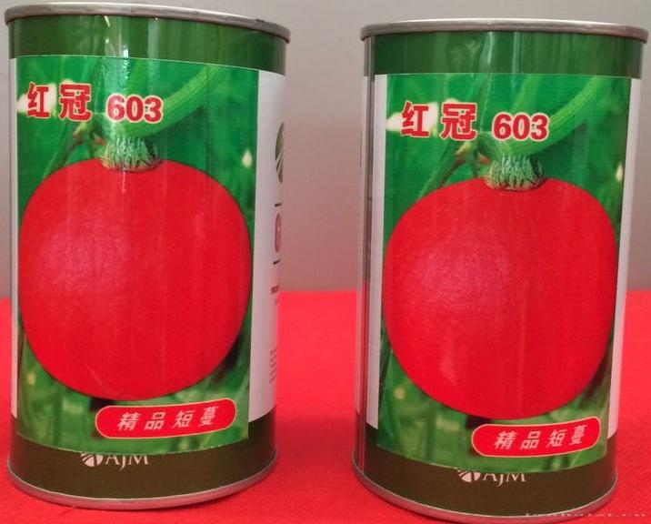 供应红冠603—南瓜种子
