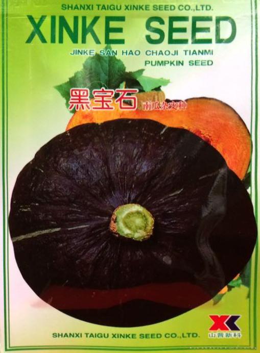 供应黑宝石—南瓜种子