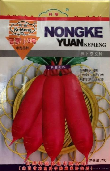 供应晋萝卜3号—萝卜种子