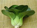 黑叶五月慢青菜-青菜