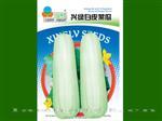白皮菜瓜-瓜类