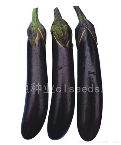 茄子4