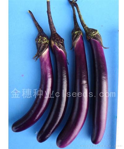 茄子2
