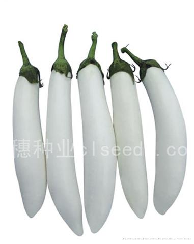 茄子3