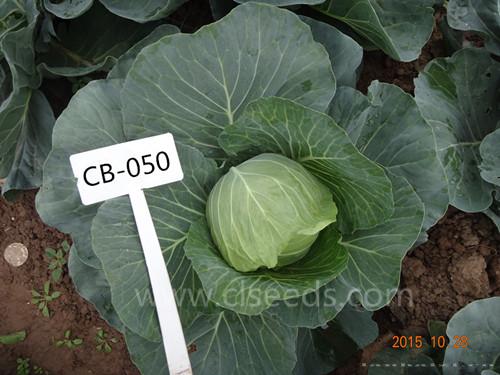 CB-050