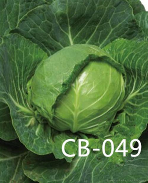 CB-049