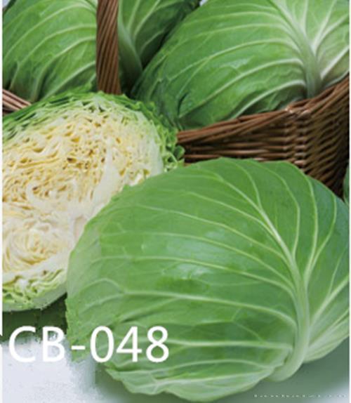 CB-048