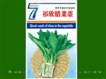 腊菜苔-叶菜类