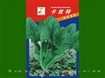 卡兹特杂交菠菜