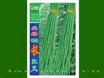兴绿102豇豆
