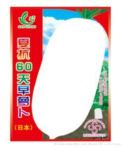 夏抗60天早萝卜