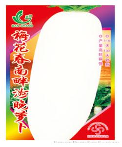 梅花春南畔晚.