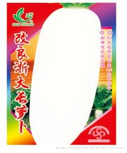 改良浙大长萝卜
