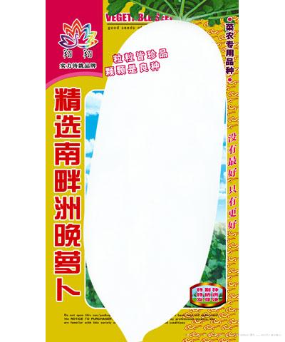 精选南畔洲晚萝卜