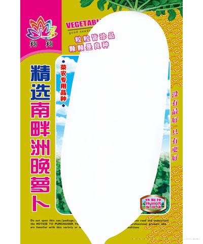 精选南畔洲晚萝卜