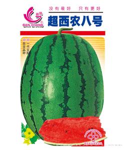 超西农八号