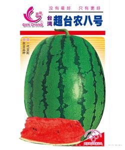 台农八号