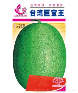 台湾巨宝王