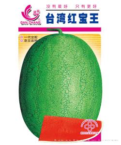 台湾红宝王