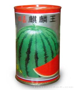 麒麟王