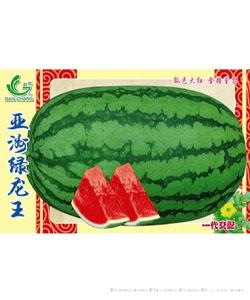 亚洲绿龙王