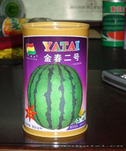 金春二号