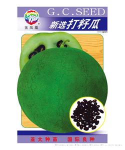 新选打籽瓜 