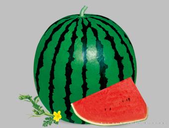正红10