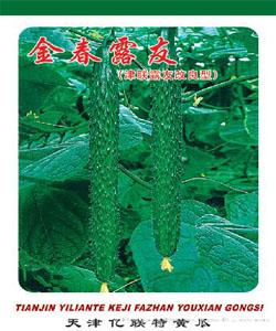 金春露友