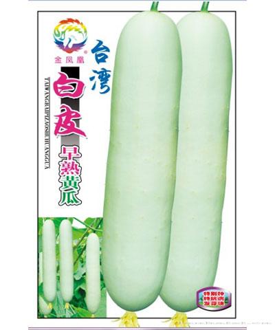 台湾白皮早熟黄瓜