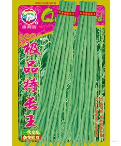极品特长王