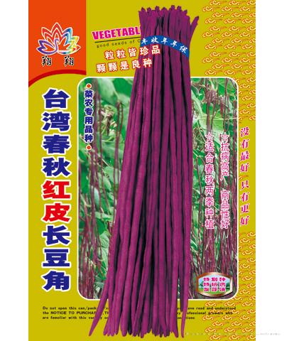  台湾春秋红皮长豆角