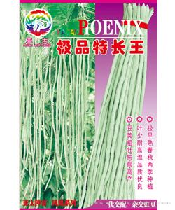 极品特长王