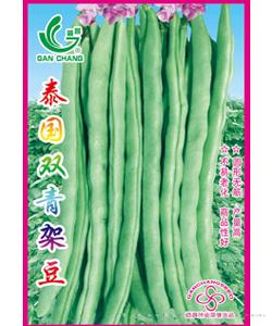 泰国双青架豆