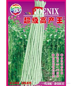 超级高产王