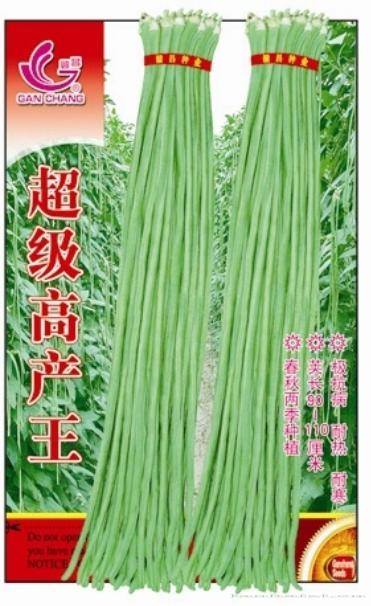 春秋露地王