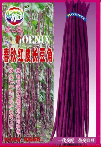 极品特长王