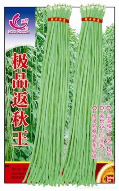 世纪超长结荚王