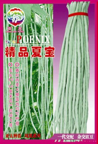 世纪抗病耐运王