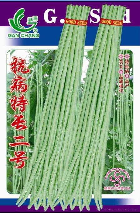 抗病特长2号