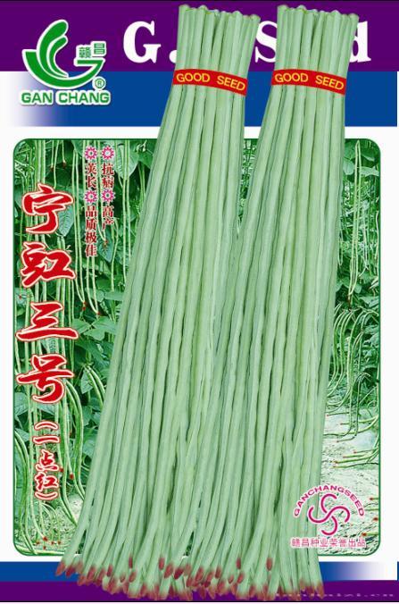 宁豇3号
