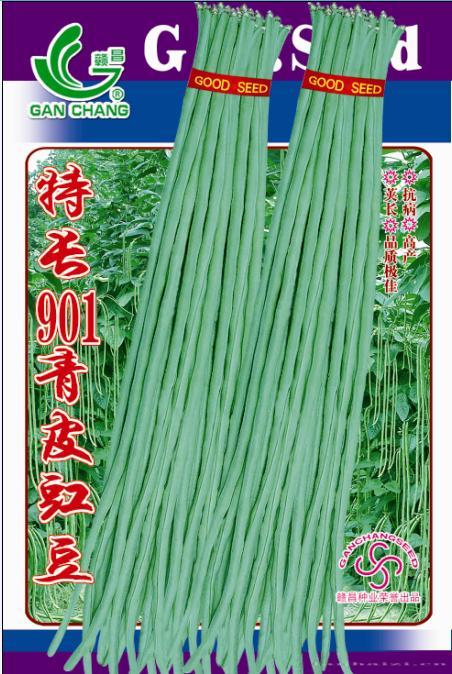 特长901